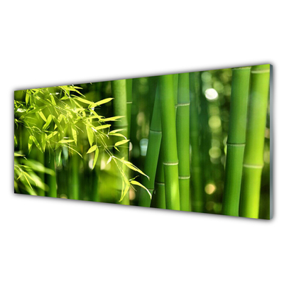 Glass Wall Art Bamboo leaves floral green