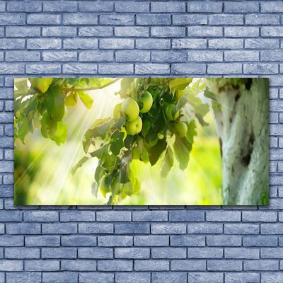 Glass Wall Art Branch of apples kitchen green brown