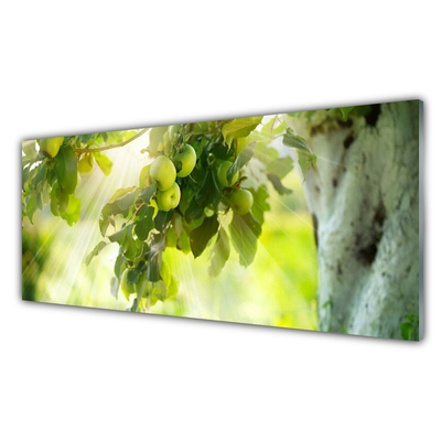 Glass Wall Art Branch of apples kitchen green brown