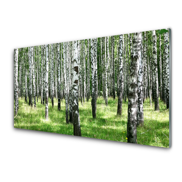 Glass Wall Art Forest nature black white green