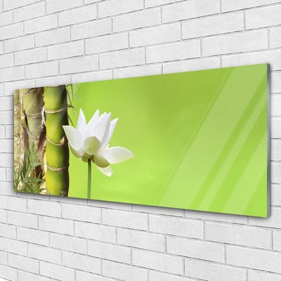 Glass Wall Art Bamboo stalk flower floral green white