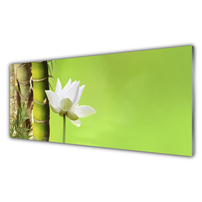 Glass Wall Art Bamboo stalk flower floral green white