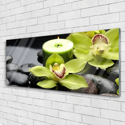 Glass Wall Art Flower stones floral green black