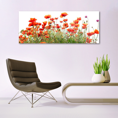 Glass Wall Art Poppies nature red