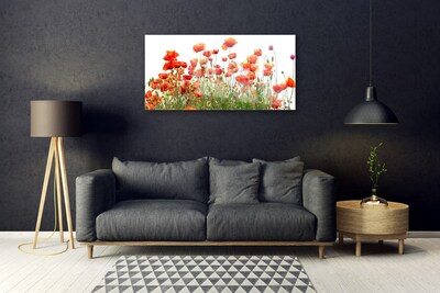 Glass Wall Art Poppies nature red
