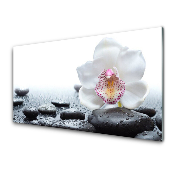 Glass Wall Art Flower stones art white black