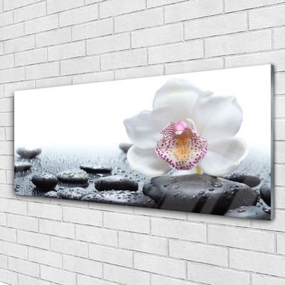 Glass Wall Art Flower stones art white black