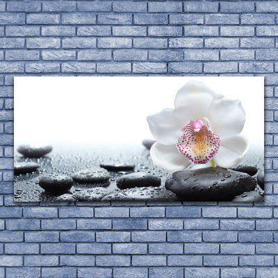 Glass Wall Art Flower stones art white black