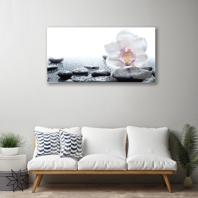 Glass Wall Art Flower stones art white black