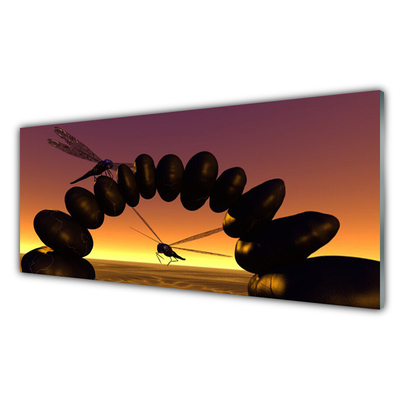 Glass Wall Art Dragonflies stones art black yellow