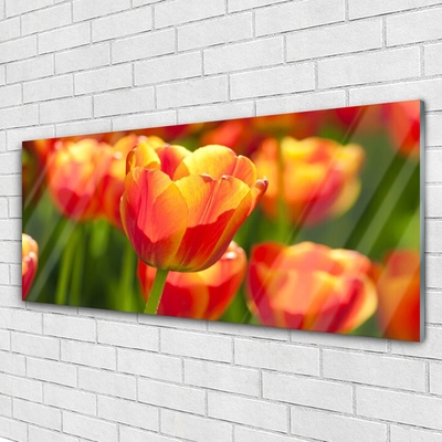 Glass Wall Art Tulips floral yellow red