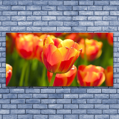 Glass Wall Art Tulips floral yellow red