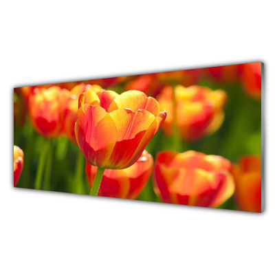 Glass Wall Art Tulips floral yellow red