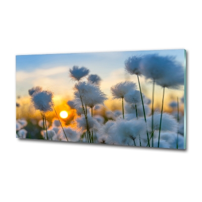 Glass Wall Art Flowers floral white