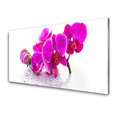 Glass Wall Art Flowers floral pink