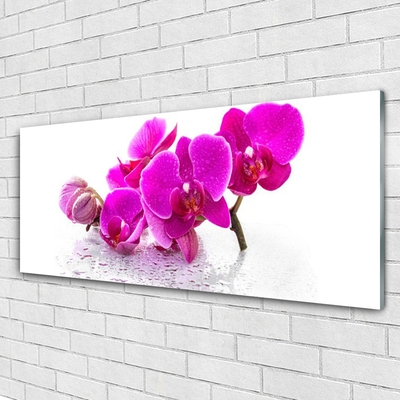 Glass Wall Art Flowers floral pink