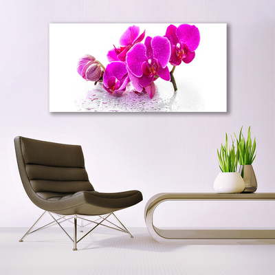 Glass Wall Art Flowers floral pink