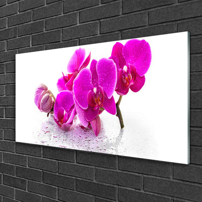 Glass Wall Art Flowers floral pink