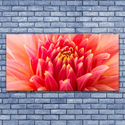 Glass Wall Art Flower floral orange