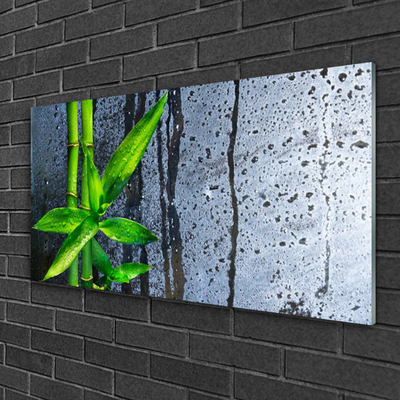 Glass Wall Art Bamboo stalks floral green