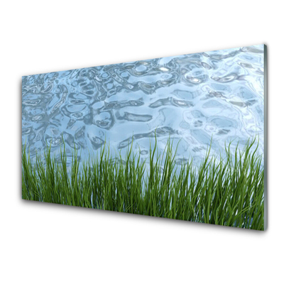 Glass Wall Art Grass water nature green blue