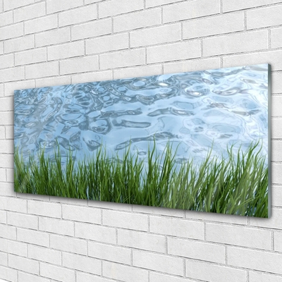 Glass Wall Art Grass water nature green blue