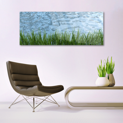 Glass Wall Art Grass water nature green blue