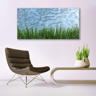 Glass Wall Art Grass water nature green blue