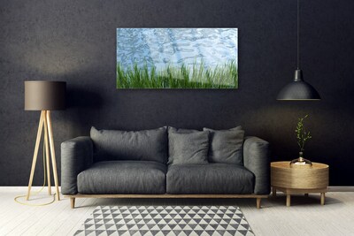 Glass Wall Art Grass water nature green blue