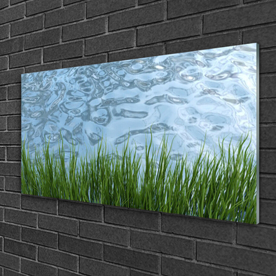 Glass Wall Art Grass water nature green blue