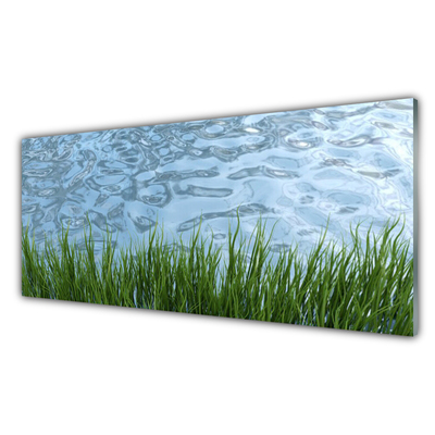 Glass Wall Art Grass water nature green blue