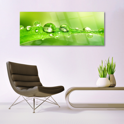 Glass Wall Art Leaf dewdrops floral green