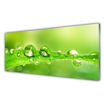 Glass Wall Art Leaf dewdrops floral green