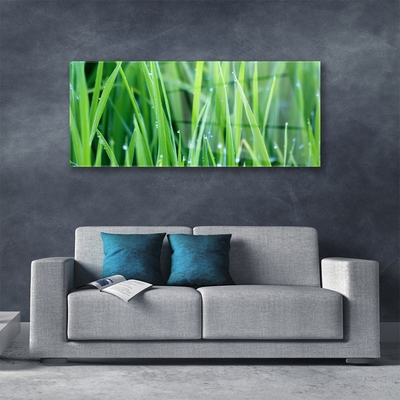 Glass Wall Art Weed nature green