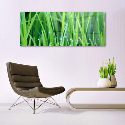 Glass Wall Art Weed nature green