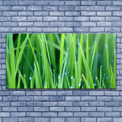 Glass Wall Art Weed nature green