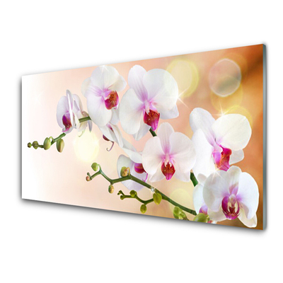 Glass Wall Art Flowers floral white pink