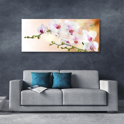 Glass Wall Art Flowers floral white pink