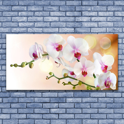 Glass Wall Art Flowers floral white pink