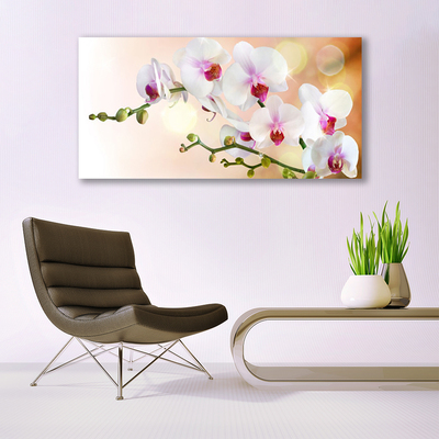 Glass Wall Art Flowers floral white pink