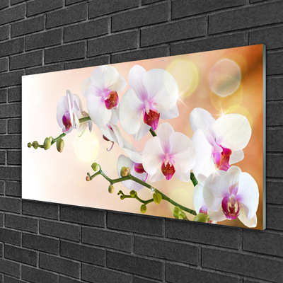 Glass Wall Art Flowers floral white pink