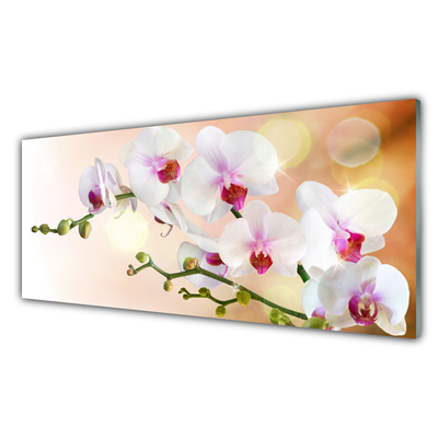 Glass Wall Art Flowers floral white pink