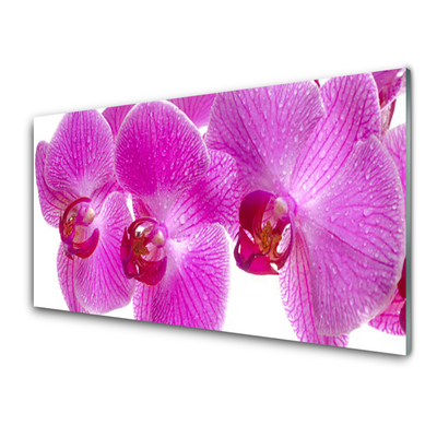 Glass Wall Art Flowers floral pink