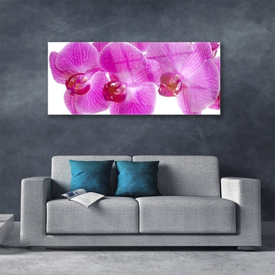 Glass Wall Art Flowers floral pink