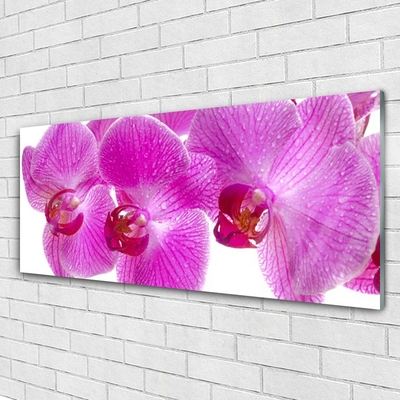 Glass Wall Art Flowers floral pink