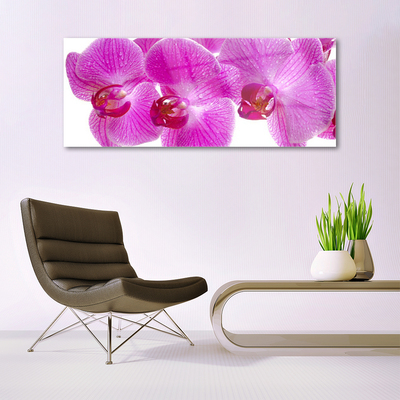 Glass Wall Art Flowers floral pink