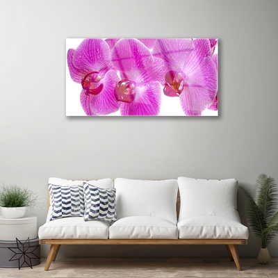 Glass Wall Art Flowers floral pink