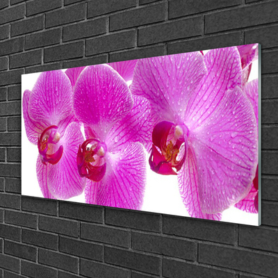 Glass Wall Art Flowers floral pink