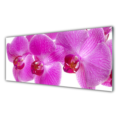 Glass Wall Art Flowers floral pink