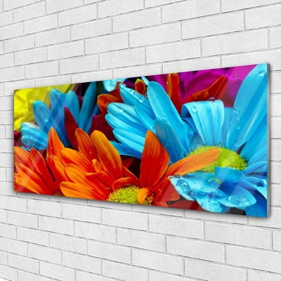 Glass Wall Art Flowers floral red blue orange